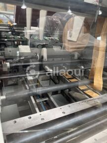 Palamides Delta 703 Picture 4