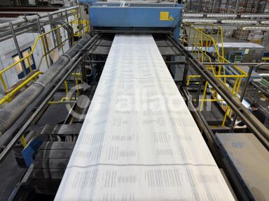 Timson T48A ZMR Press Picture 14